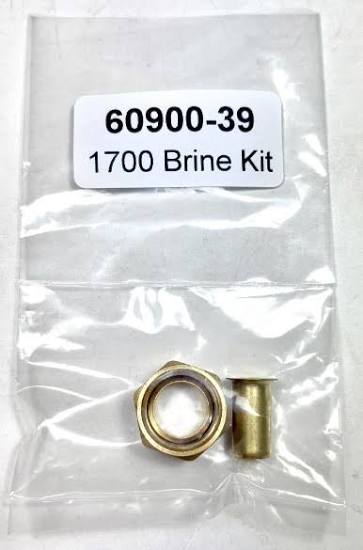 60900-39 PENTAIR Brine Valve Piston Assembly