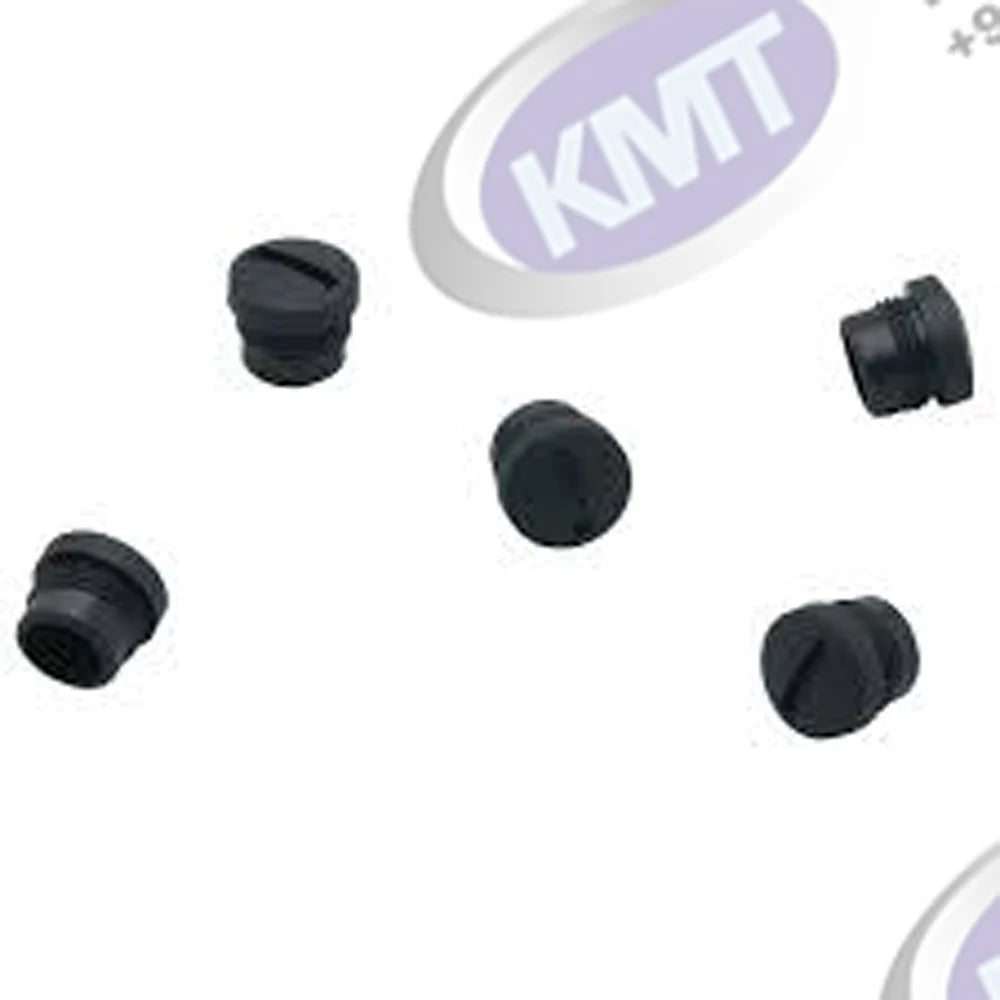 E73004 IFM Protective Cap